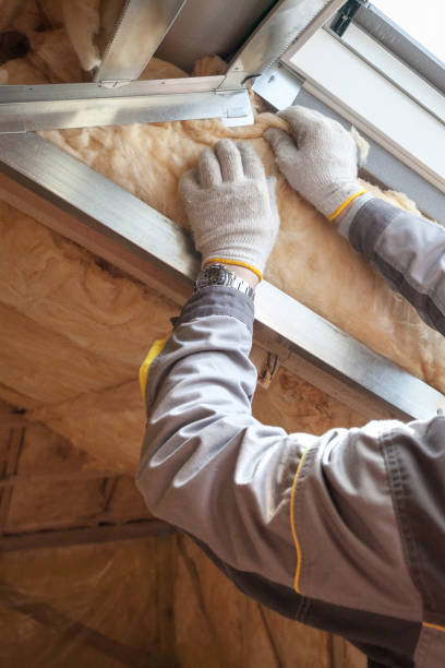 Best Blown-in Insulation in Plain City, UT