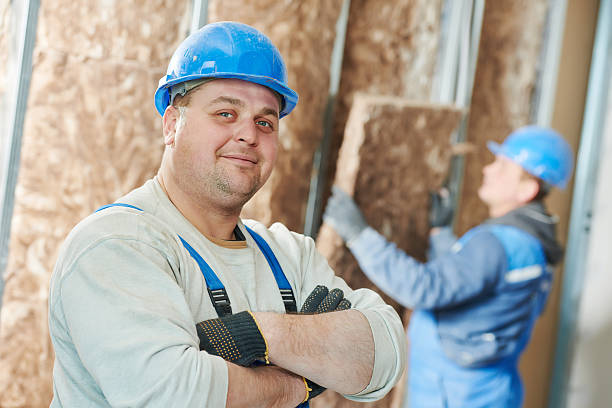 Best Insulation Maintenance and Repair in Plain City, UT