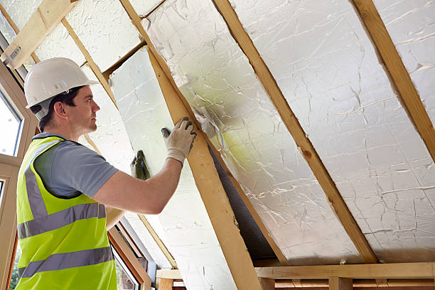 Best Blown-in Insulation in Plain City, UT