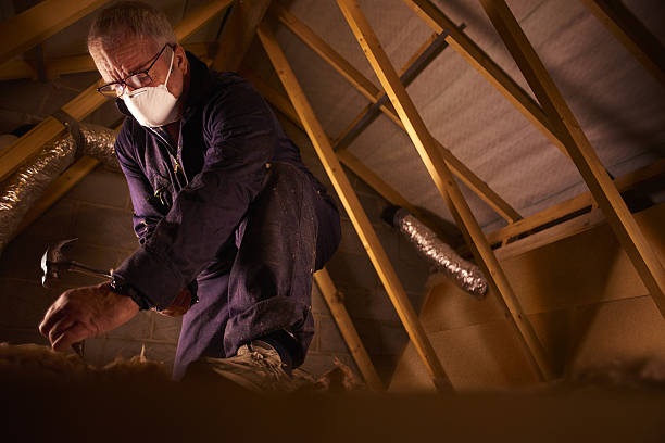 Best Spray Foam Insulation in Plain City, UT