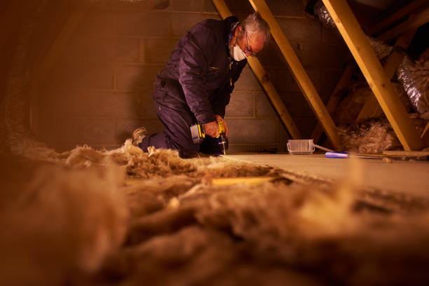 Best Eco-Friendly Insulation in Plain City, UT