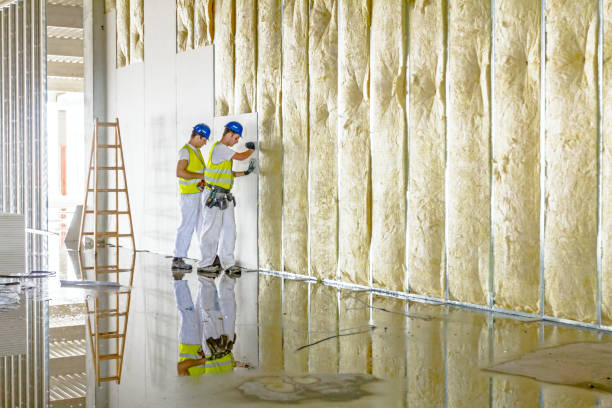 Best Spray Foam Insulation in Plain City, UT